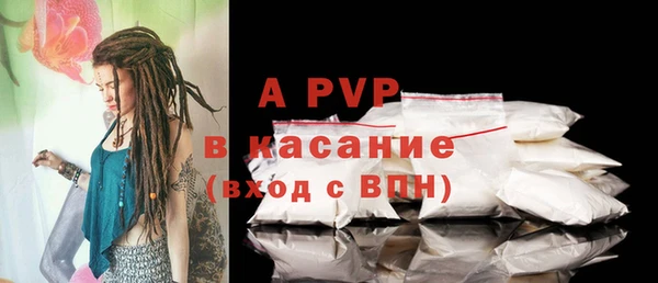 бошки Касимов