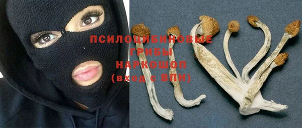 бошки Касимов