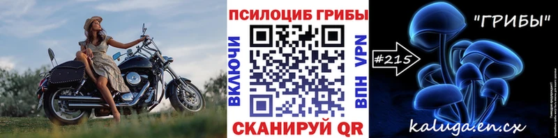 Псилоцибиновые грибы Psilocybine cubensis Дорогобуж