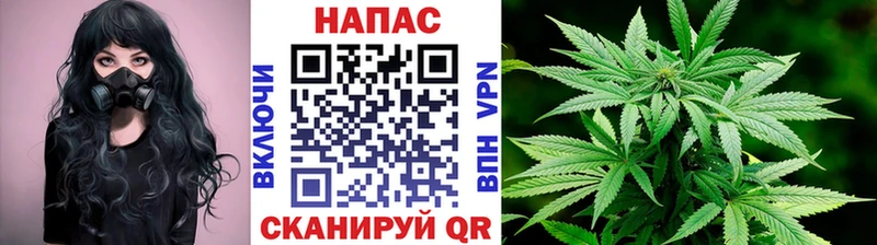 Купить закладки  Дорогобуж  Конопля White Widow 
